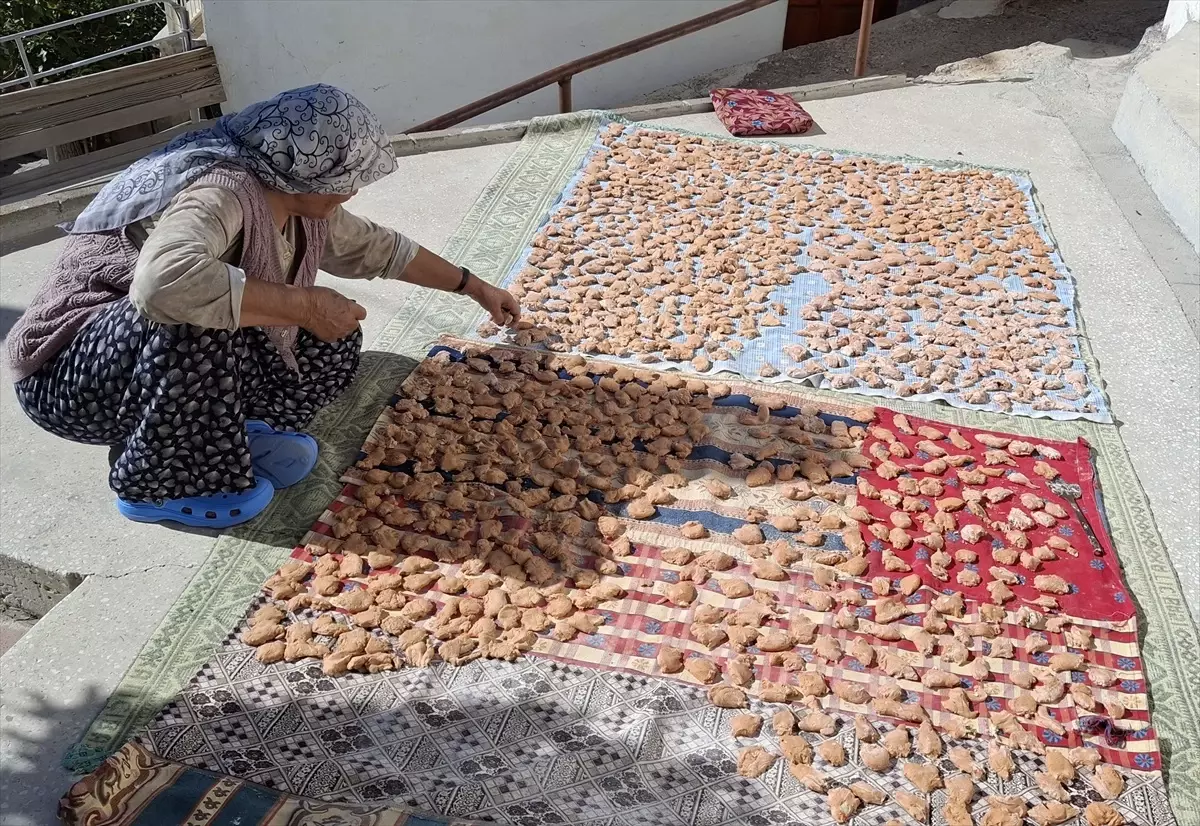 Beypazarı Kadınları Kışa Hazırlanıyor: Tarhana ve Salça Yapımı